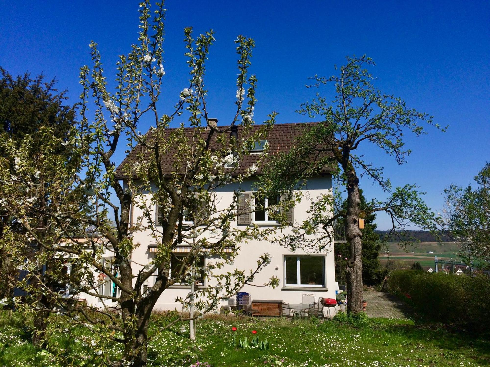 Guntli'S Family Guesthouse Andelfingen Kültér fotó